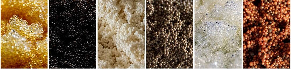 Ion Exchange Resin Manufacturer